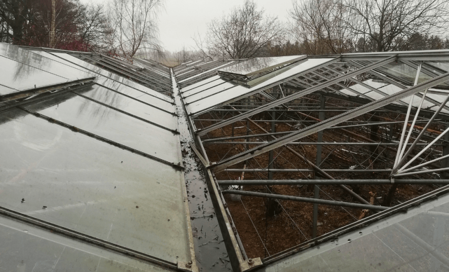 Nöteriet i Kivik, hösten 2023-Närbild från växthusets tak där glasrutor saknas.
