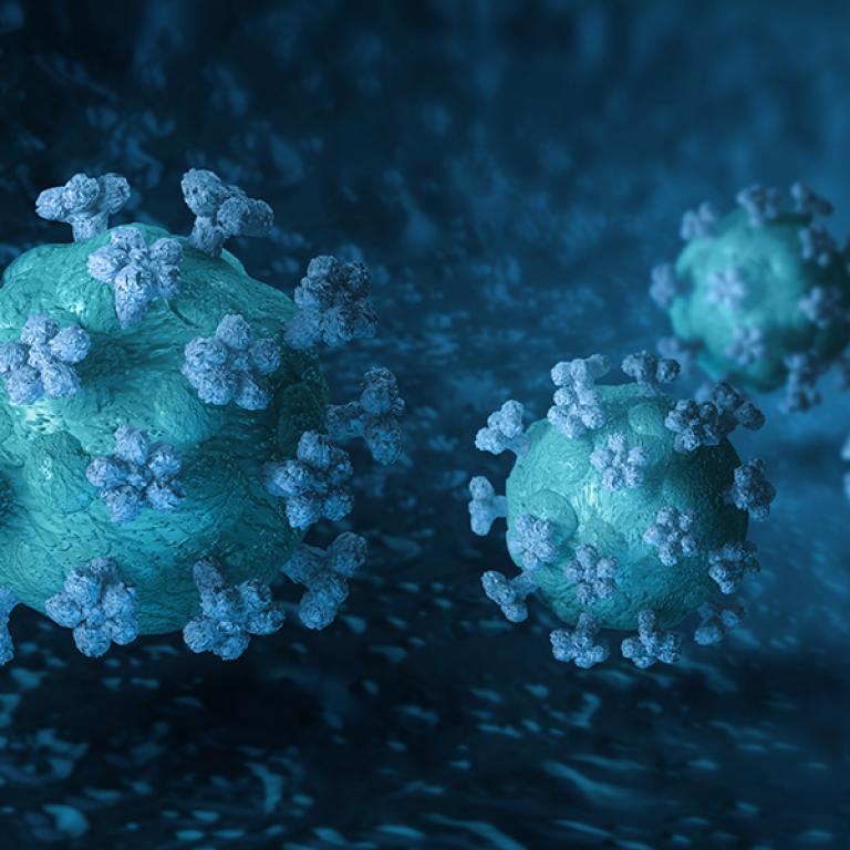 Bild på Covid-19 viurs i blå nyanser. Fotograf: Hannu Viitanen